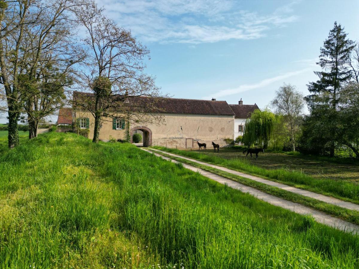 Le Moulin Neuf Villa Brienon-sur-Armançon Kültér fotó