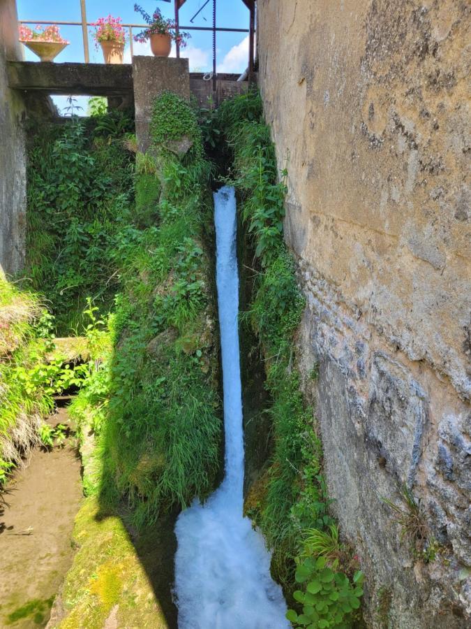 Le Moulin Neuf Villa Brienon-sur-Armançon Kültér fotó