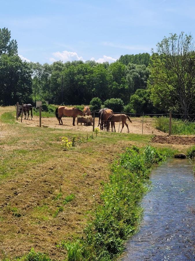 Le Moulin Neuf Villa Brienon-sur-Armançon Kültér fotó